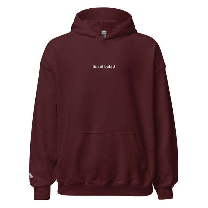 ibn el balad hoodie (dark colors)